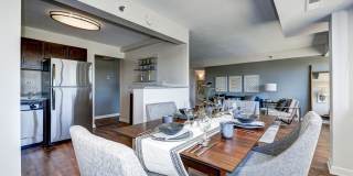 The Mark Alexandria Gallery 2