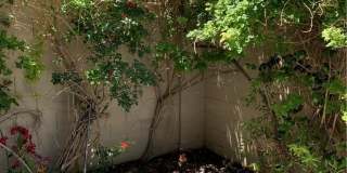 7617 Allerton Avenue Gallery 4