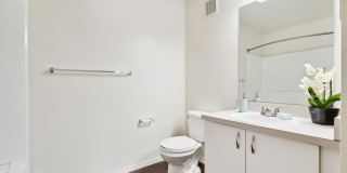 Vista Lake Ned Gallery 51