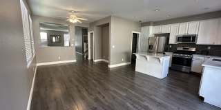 2514 Mercato Lane Gallery 5