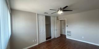 The Pines Apartments Gallery 20