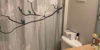 3BR/2BA Rental with Tile & Fenced Yard in NW Palm Bay Gallery 12