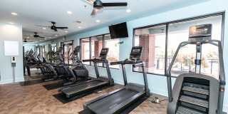 Berkeley Park Gallery 41