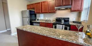 Convent Gardens Gallery 30