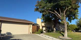 4BD/2BA Single Family Home in Quiet Desirable Livermore Neighborhood! Gallery 1