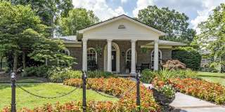 Canter Chase Gallery 7