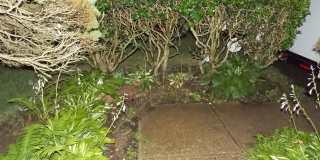 14609 Governor Sprigg Place Gallery 8
