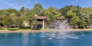 Elements of Belle Rive Gallery 1