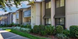 Portofino Gallery 26