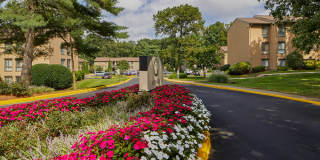 Reston Glade Gallery 30