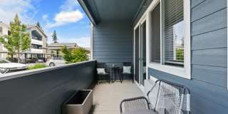 Meritum Evergreen Gallery 13