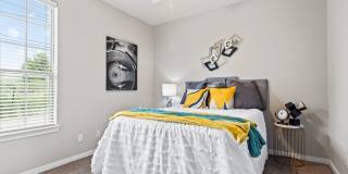 Bear Crossing Gallery 8