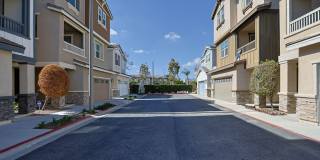 Beautifully Upgraded Single-Family Home for Rent Gallery 1