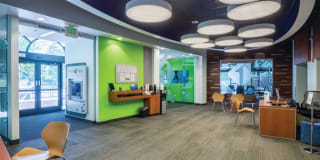 The Verdant The Verdant Gallery 31