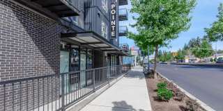 Pointe by Vintage Gallery 2