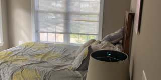 1204 Harp Street Gallery 6