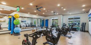 Aspire at Flamingo Grand Gallery 45