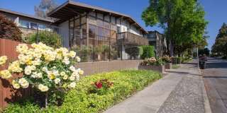 Woodland Park Gallery 22