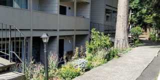 Rochelle Apartments Gallery 2