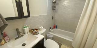 1434 Tremont St #B4 Boston MA 02120 Gallery 10