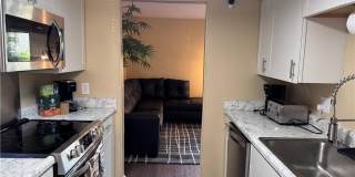 2638 King Court Gallery 5