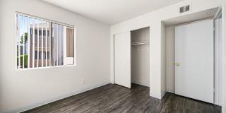 Desert Springs Gallery 16