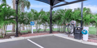 Fountain Lake Bradenton Gallery 35