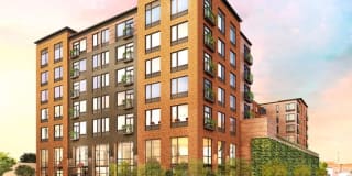 The Hazel Gallery 13