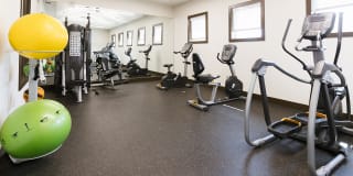 Alsbury Farms Gallery 31