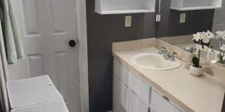 6115 N ALBANY AVENUE Gallery 13