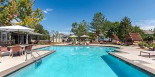 Palomino Park Resort Gallery 7