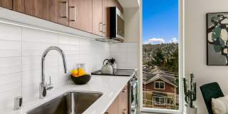 Fremont View: Modern Classic Collection Gallery 14