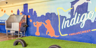 Indigo Gallery 49