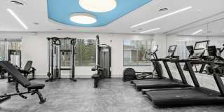 The Landing at Vinnin Square Gallery 24