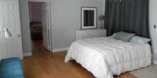 Lake Shore Village Gallery 17