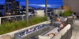 The Gossamer Gallery 23