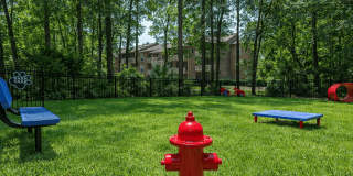 Parkland at Orange Park Gallery 7