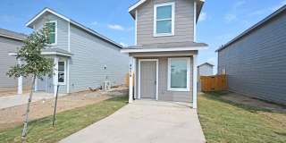 4974 Daisy Blossom Gallery 1
