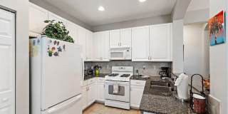 153 Evergrene Parkway Gallery 17