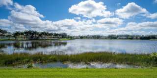 11710 Paradise Cove Lane Gallery 37