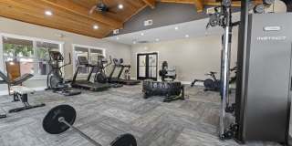 The Lynx The Lynx Gallery 23