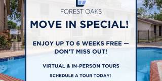 Forest Oaks Gallery 27