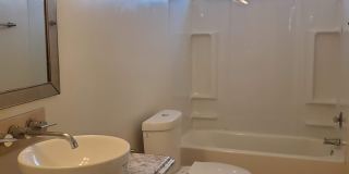 No HOA! North Phoenix 3 Bedroom Home with Large Yard & Garage Gallery 7