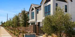 56th at Arcadia Gallery 1