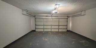 9532 Chi Chi Cv Gallery 2