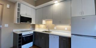 Red Oak at 83 Hanover Street Gallery 54