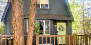 564 Cedar Lane Gallery 1