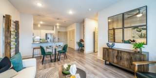 Virtuo Spring Gallery 6