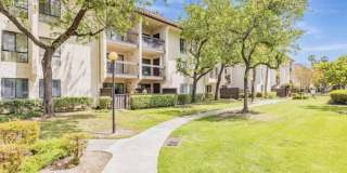 39821 Cedar Blvd Unit 203 Gallery 1