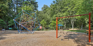 Canopy Glen Gallery 40